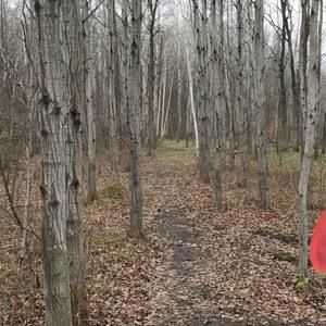 Meet your Posher, Don